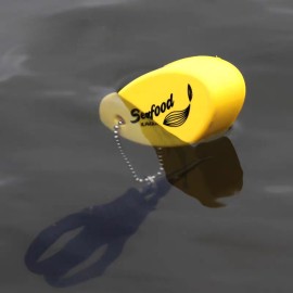 Floating Boating Key Chain