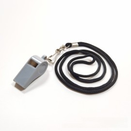Plastic whistle