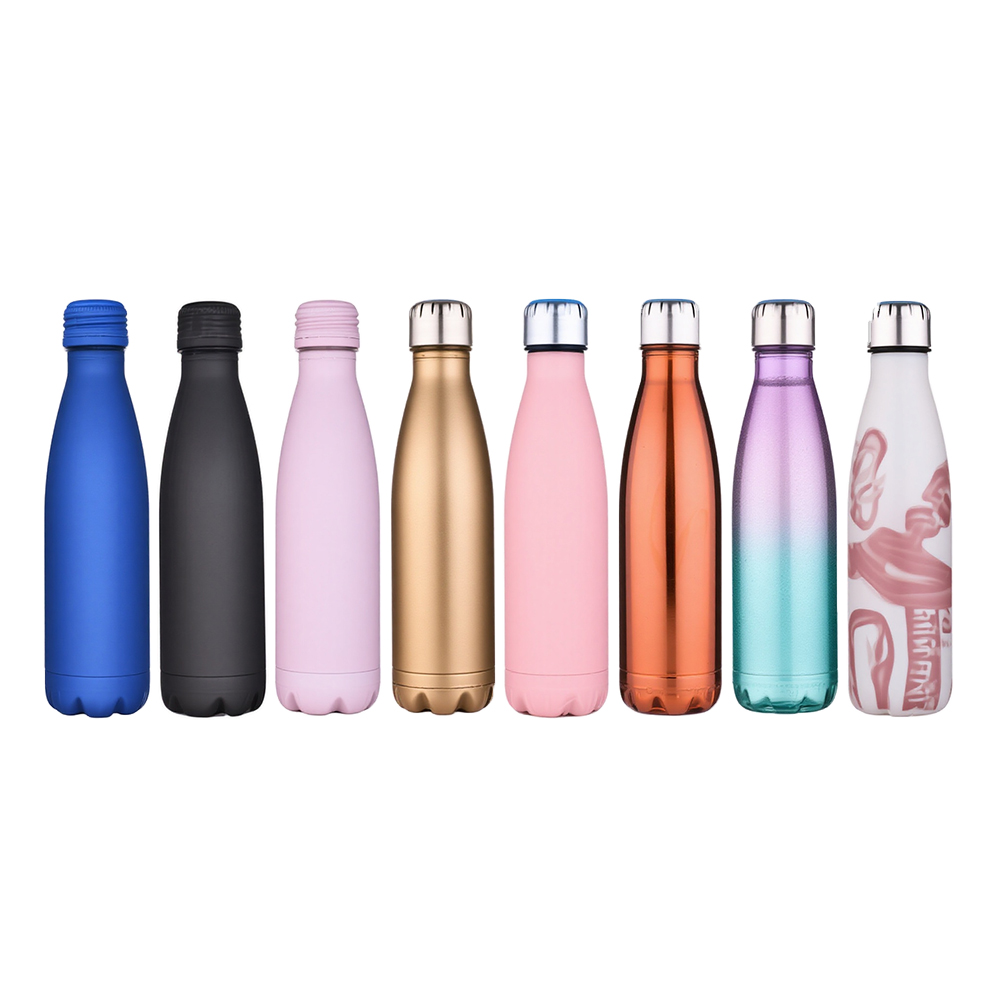Stainless Bottle